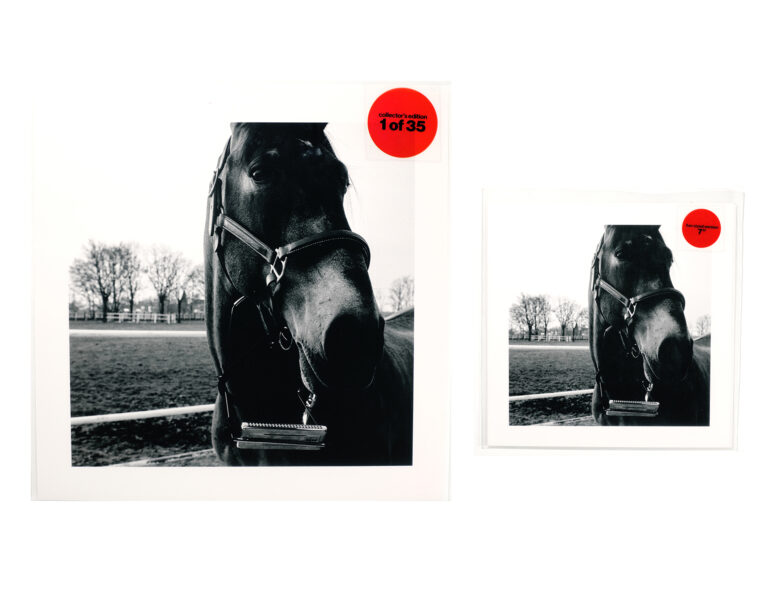 FREEWHEELING SINGLES - 17 - Horse